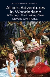 Omslag van Alice in Wonderland
