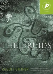 Omslag van The Druids Esoteric Wisdom of the Ancient Celtic Priests