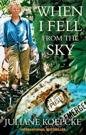 Omslag van When I Fell from the Sky The True Story of One Woman's Miraculous Survival