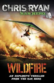 Omslag van Wildfire