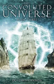 Omslag van The Convoluted Universe: Book 3