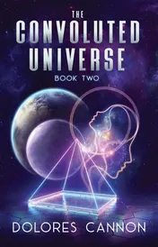 Omslag van The Convoluted Universe Book Two
