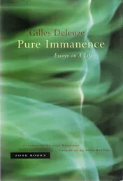 Omslag van Pure Immanence Essays on a Life