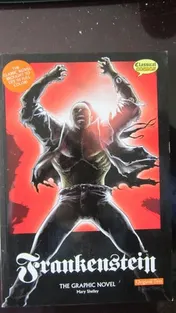 Omslag van Frankenstein The Graphic Novel