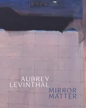 Omslag van Aubrey Levinthal - Mirror Matter