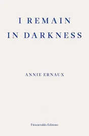 Omslag van I Remain in Darkness