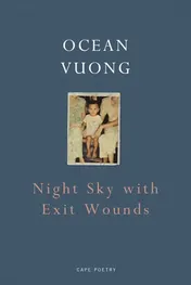 Omslag van Night Sky with Exit Wounds