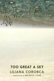 Omslag van Too Great A Sky