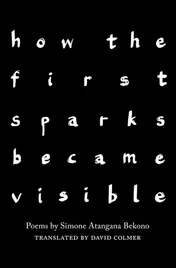 Omslag van How the First Sparks Became Visible