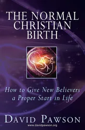 Omslag van The Normal Christian Birth How to Give New Believers a Proper Start in Life