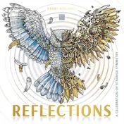 Omslag van LOM Art Reflections A Celebration of Strange Symmetry.