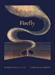 Omslag van Night Creatures: Firefly