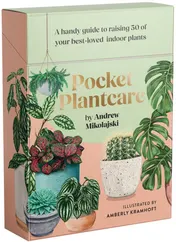 Omslag van Pocket Plantcare A Handy Guide to Raising 50 of Your Best-loved Indoor Plants