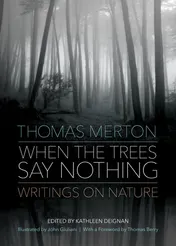 Omslag van When the Trees Say Nothing Writings on Nature