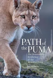 Omslag van Path of the Puma The Remarkable Resilience of the Mountain Lion