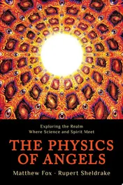 Omslag van The Physics of Angels Exploring the Realm Where Science and Spirit Meet