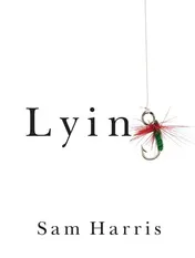 Omslag van Lying