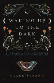 Omslag van Waking Up to the Dark The Black Madonna's Gospel for an Age of Extinction and Collapse