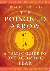 Omslag van The Poisoned Arrow A Toltec Guide to Overcoming Fear