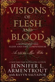 Omslag van Visions of Flesh and Blood A Blood and Ash/Flesh and Fire Compendium