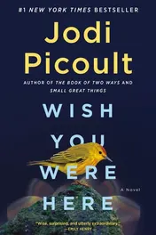 Omslag van Wish You Were Here A Novel