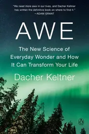 Omslag van Awe The New Science of Everyday Wonder and How It Can Transform Your Life