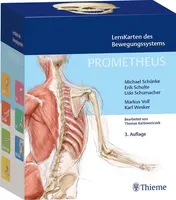 Omslag van Prometheus - LernKarten des Bewegungssystems