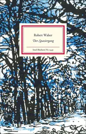 Omslag van Der Spaziergang