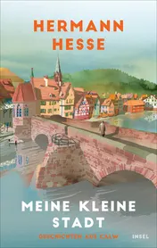 Omslag van Meine kleine Stadt Geschichten aus Calw
