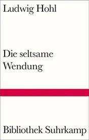 Omslag van Die seltsame Wendung Novelle