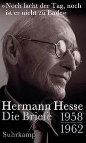 Omslag van »Noch lacht der Tag, noch ist er nicht zu Ende« Die Briefe 1958-1962