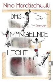 Omslag van Das mangelnde Licht Roman