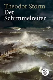 Omslag van Der Schimmelreiter