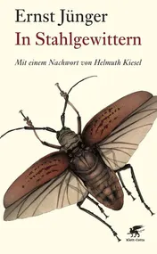 Omslag van In Stahlgewittern