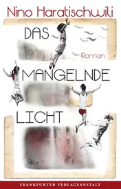 Omslag van Das mangelnde Licht Roman