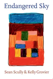 Omslag van Endangered Sky Sean Scully & Kelly Grovier