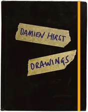 Omslag van Damien Hirst: Drawings