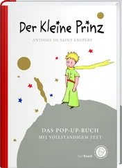 Omslag van Der kleine Prinz