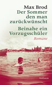 Omslag van Der Sommer den man zurückwünscht Beinahe ein Vorzugsschüler : Romane