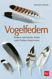 Omslag van Vogelfedern Federn heimischer Arten nach Farben bestimmen