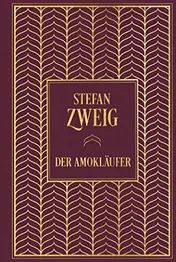 Omslag van Der Amokläufer