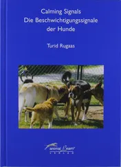 Omslag van Calming signals - die Beschwichtigungssignale der Hunde