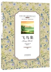 Omslag van 飞鸟集：英汉双语Stray Birds A Chinese English Translation