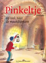 Omslag van Pinkeltje op zoek naar de maandiamant