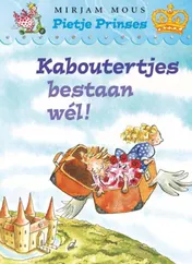 Omslag van Kaboutertjes bestaan wel!