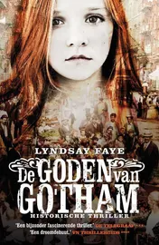 Omslag van De goden van Gotham