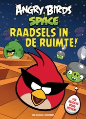 Omslag van Raadsels in de ruimte
