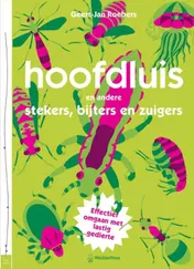 Omslag van Hoofdluis en andere stekers, bijters en zuigers