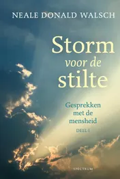 Omslag van Storm voor de stilte