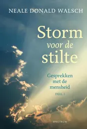 Omslag van Storm voor de stilte